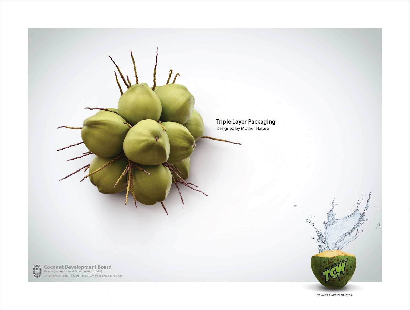 Coconut Development Board of India| Print mock-up 1 | Stark Communications Pvt Ltd