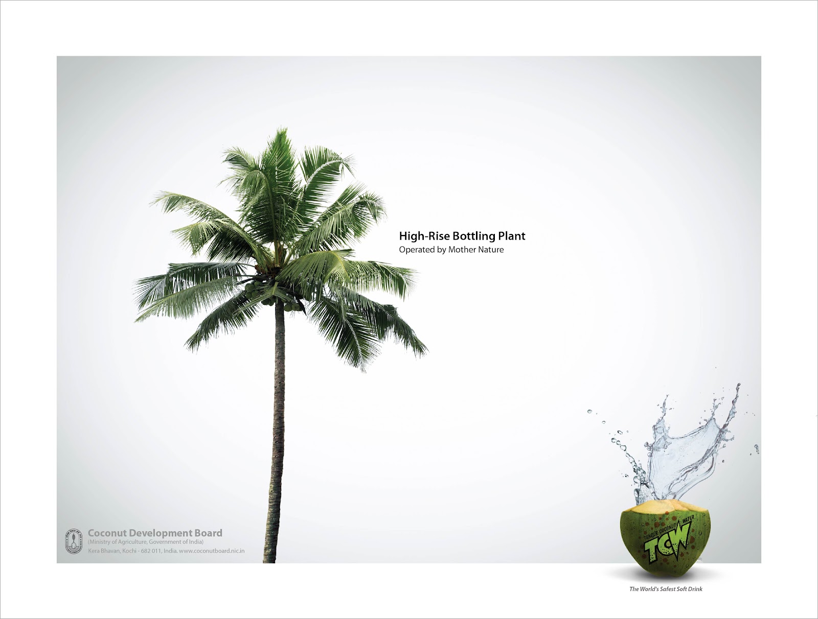 Coconut Development Board of India| Print mock-up 2 | Stark Communications Pvt Ltd